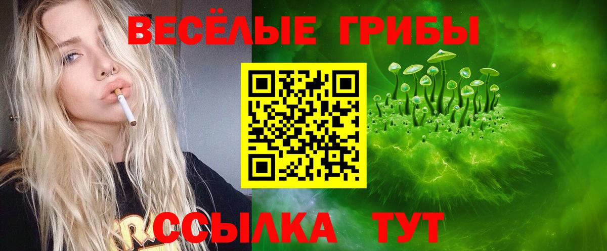 Галлюциногенные грибы Psilocybine cubensis Чусовой