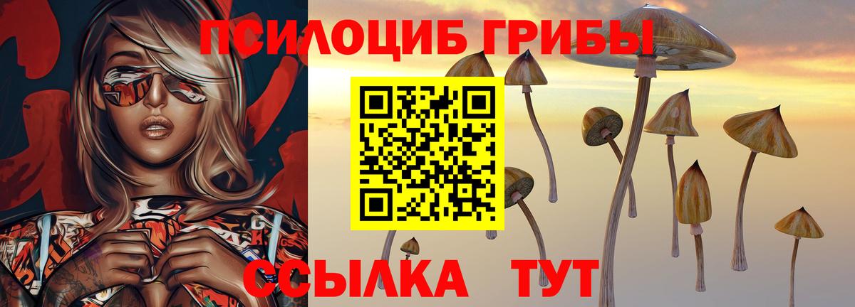 Чусовой  Псилоцибиновые грибы ЛСД  Вход с VPN 